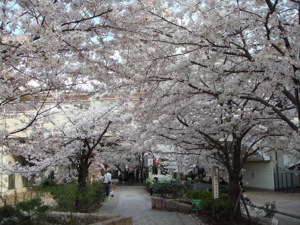 Hotel Wakamizu Takarazuka Luaran gambar